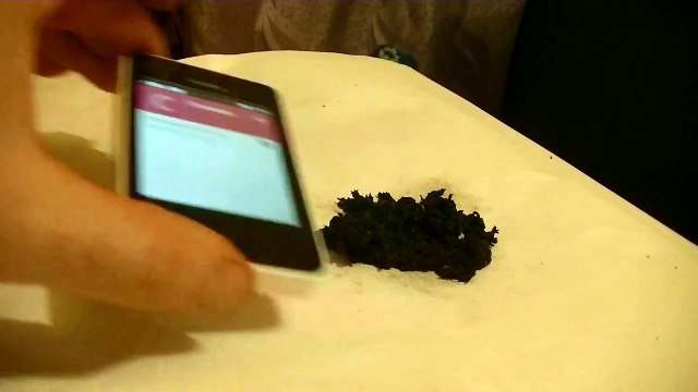 Les effets inquiétant des ondes de téléphone portable...