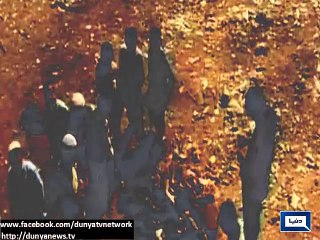 Dunya News - Haram meat being sold in various parts of country