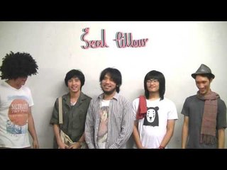 Seal Pillow - Happy New Year 2014 !!!