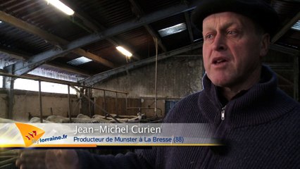 Munster: le roi des fromages Vosgiens