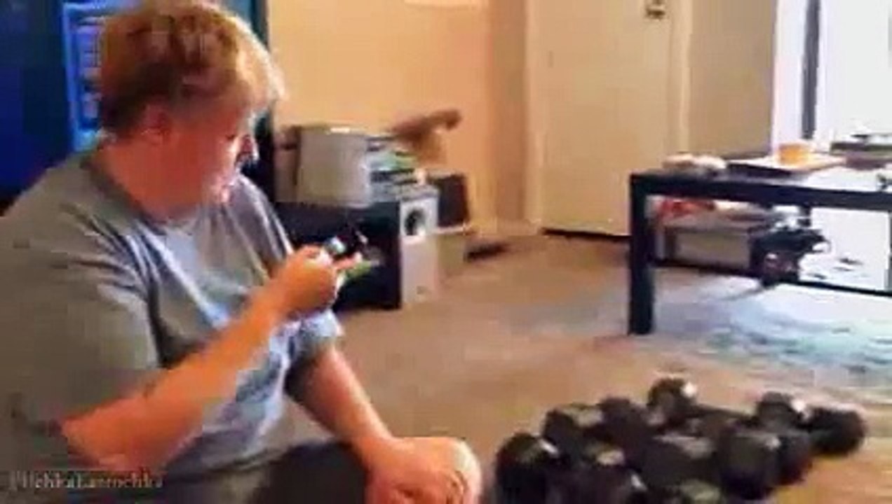 Graciosos videos de gatos jajaja