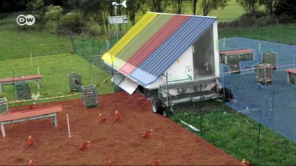 ¿Es posible una ganadería más ecológica? | Visión futuro