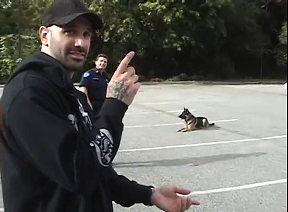Smart Police Dog