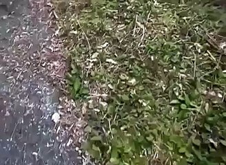 Dünya Bu Görüntüleri Konuşuyor...Ufoya Eskortluk Yapan Jetler..