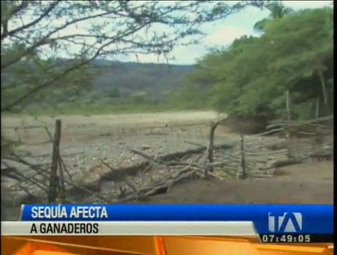 Devastadora sequía afecta a ganaderos de Loja