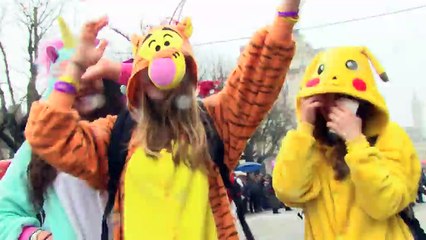 Carnaval de Limoges 2015