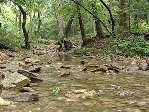 역삼 건전마사지 후기 즐겨박기