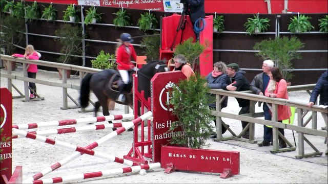 Elevage Des Etoiles - Salon Normand Des Etalons Poneys - Saint Lô - 01/03/2015