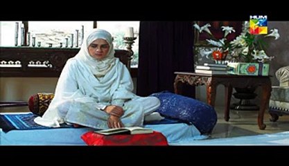 Aik Pal Episode 15 Full Drama on Hum Tv 2nd March 2015