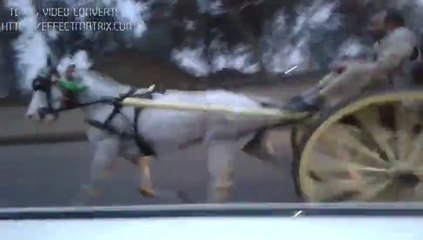 rawalpindi horse race(kabtoor vs bhalli gori)winner shada king rawalpindi(part 2)