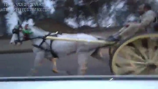 rawalpindi horse race(kabtoor vs bhalli gori)winner shada king rawalpindi(part 2)