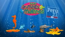 ‘Grandes Animales Marinos’: Perú21 te trae el caballito de mar