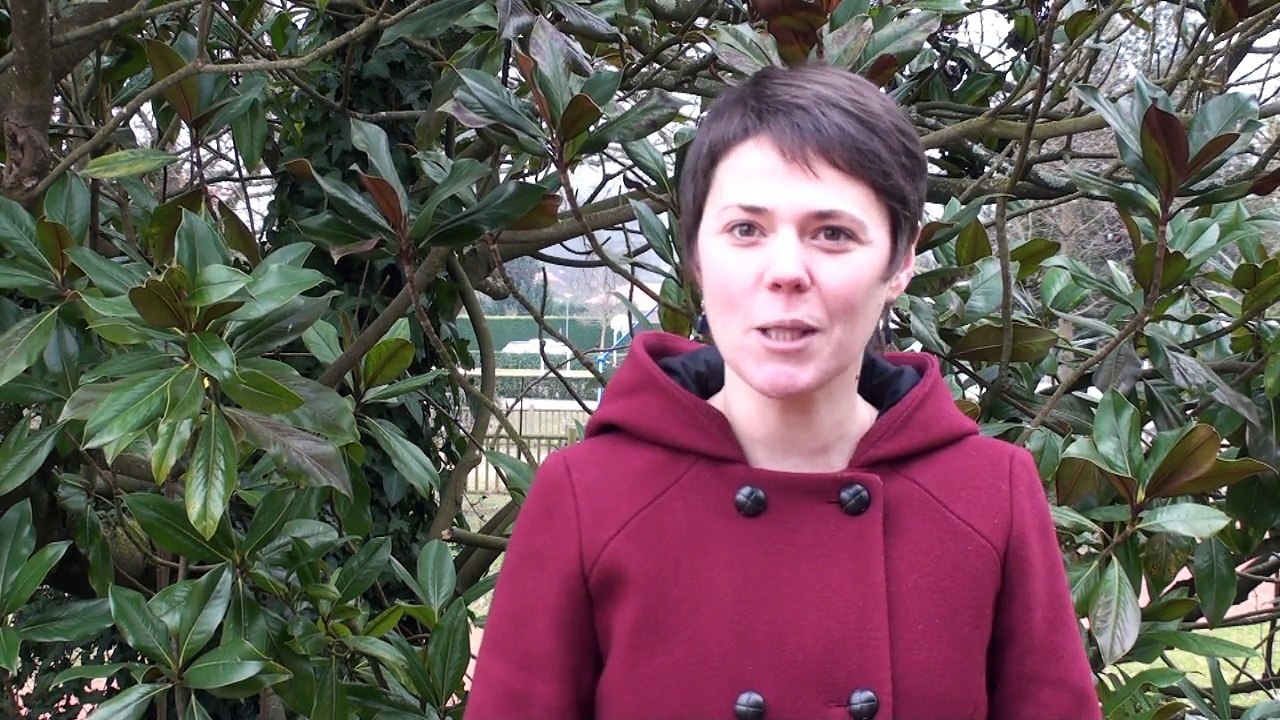 Canton 11 Dumoulin-Ladet