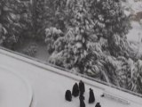 Des moines franciscains font une bataille de boules de neige (Jérusalem)