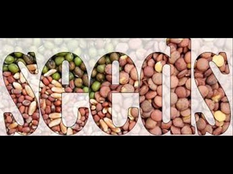 SABZIUN K BEEJ (SEEDS) PEDA KARANA TIPS BY DR.ASHRAF SAHIBZADA