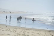 Horse Surfing Gouner Team
