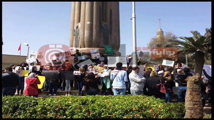 ردا على وقفات كلب الهرم احمد فؤاد نجم يبدع