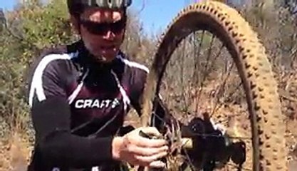 Giraffe Stalks Cyclist