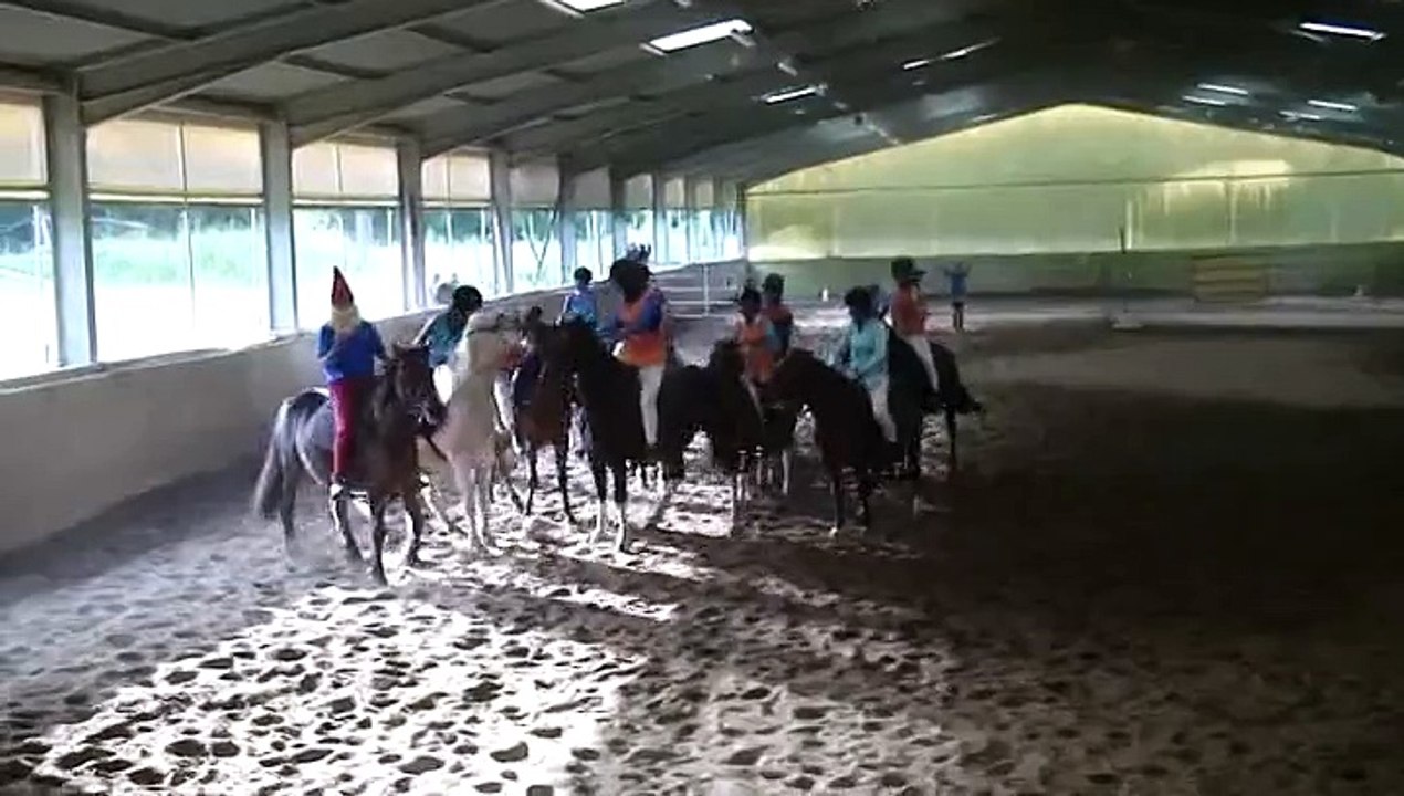 Horse Ball _ Journée du Cheval 2014