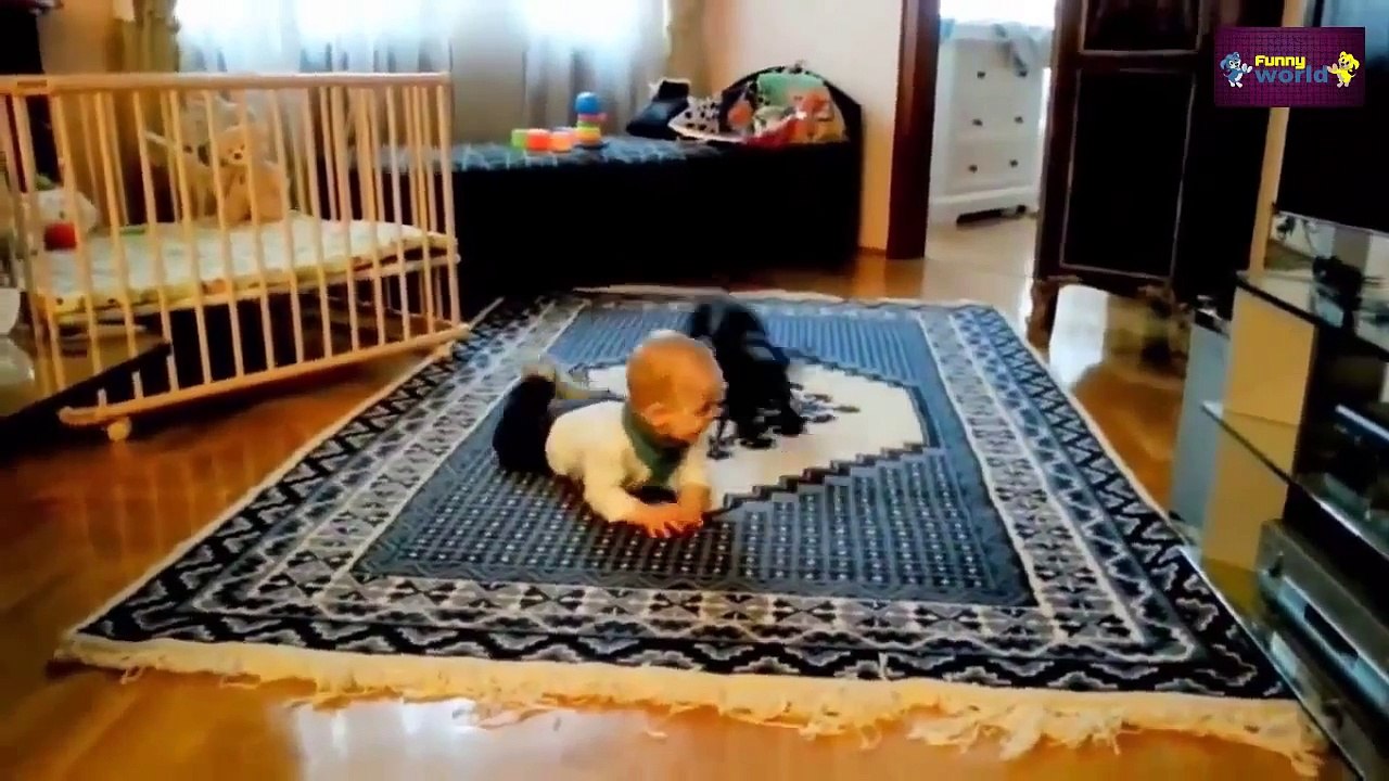 Cute Cats and Dogs Love Babies Compilation 2015 Dogs 2015 Cats 2015 720p