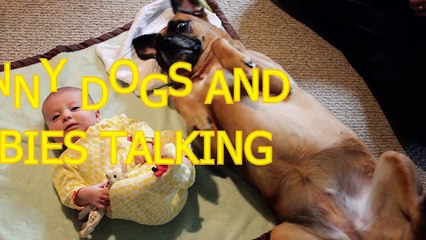 Funny dogs and babies talking Cute dog & baby compilation