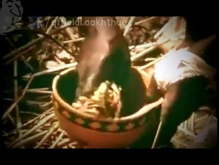 PeopLive Unbelievable Giant Snake Eating Man's Leg