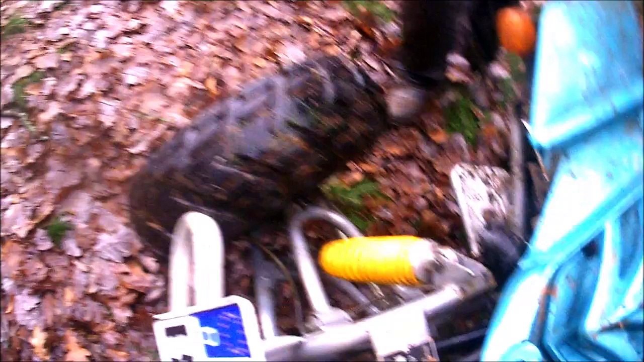 Benny der quadflüsterer