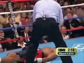 Roy Jones Jr Epic Losses