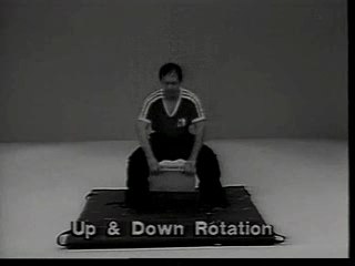 Martial Arts Chin Na  Analysis Of Shaol2