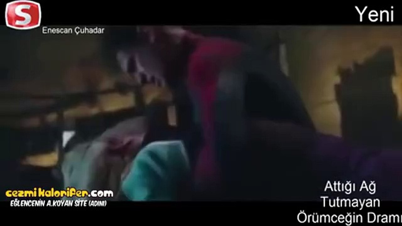 Attığı Ağ Tutmayan Örümceğin Dramı (Bonus :...