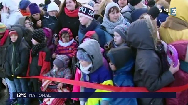 À Calais, quatre phoques viennent d'être relâchés en mer