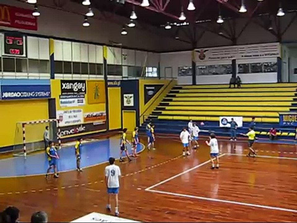 Top 10 handball goals