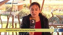 TV3 - Els Matins - Amposta celebra la Festa de la Carxofa