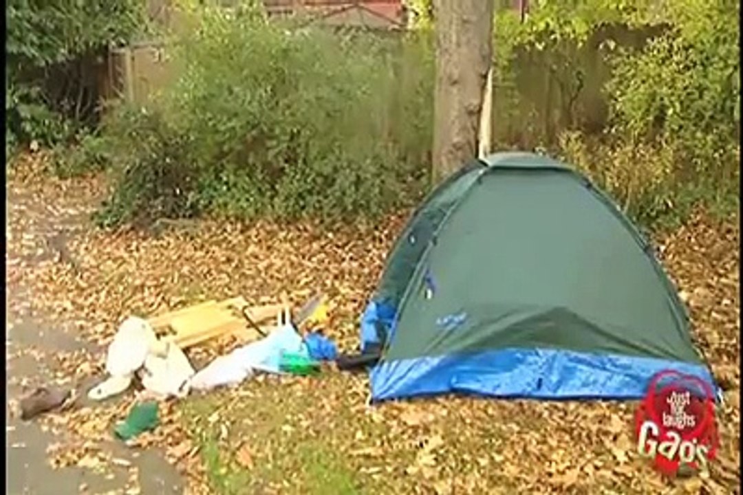 Funny Bear Attack