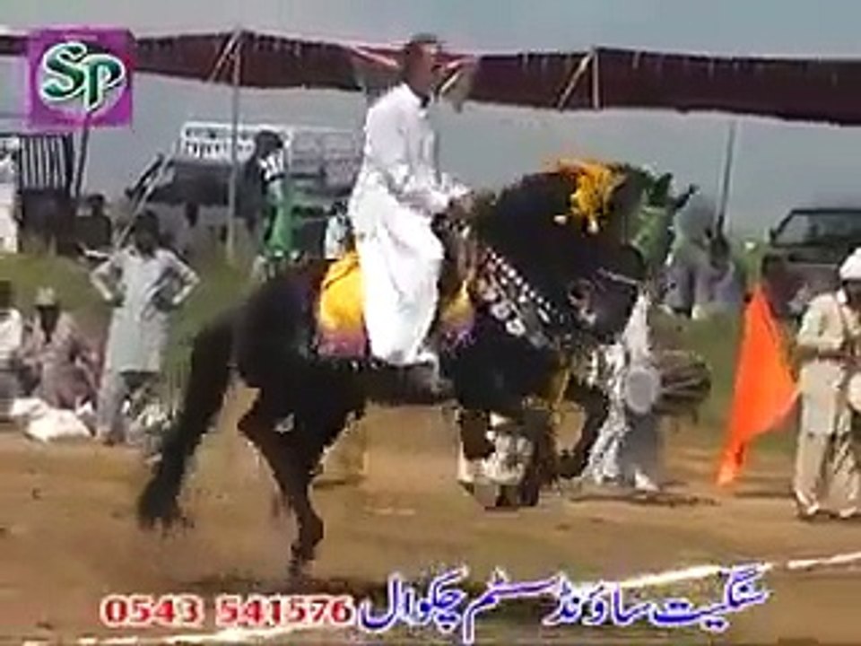 horse dance