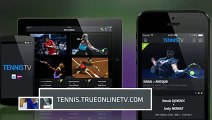 Watch Irina Falconi vs Bethanie Mattek-Sands - monterrey tennis - monterrey open tennis tournament - monterrey open tennis