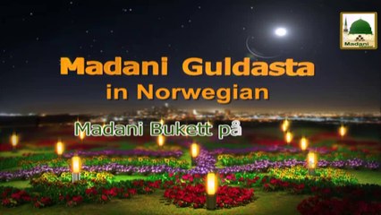 Madani Bukett på Norsk - Nådefullt Blikk - Maulana Ilyas Qadri