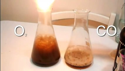 NO TODAS LAS BURBUJAS SON IGUALES (480p)