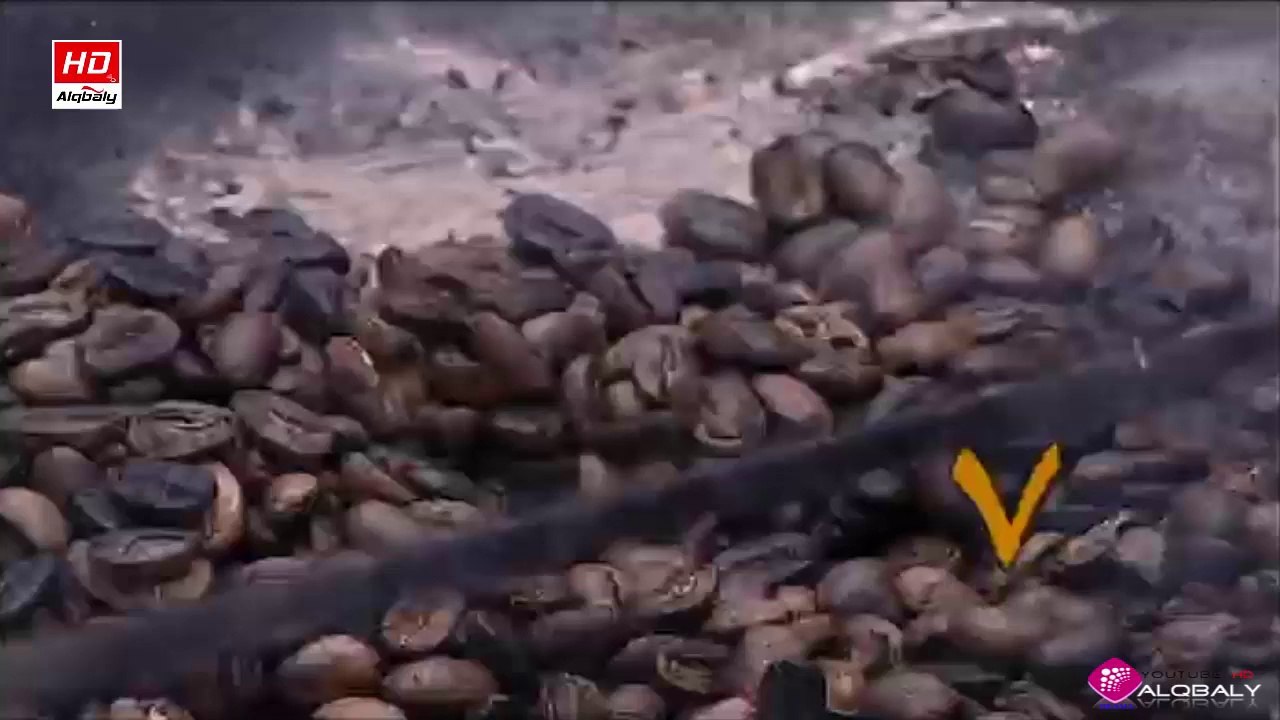 مسلسل اخر الفرسان الحلقة 7 جودة عالية