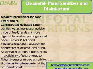 aquaculture fish medicine