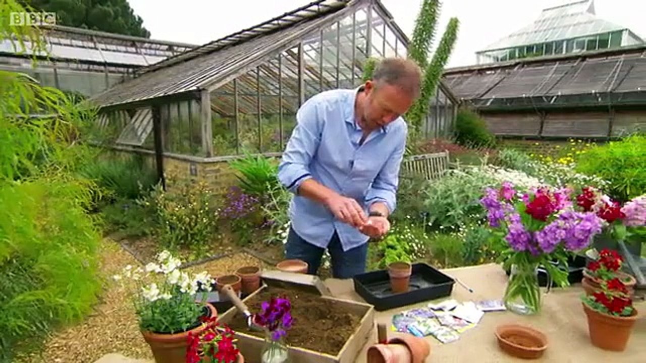 GBGR Scented Gardens & Tulips