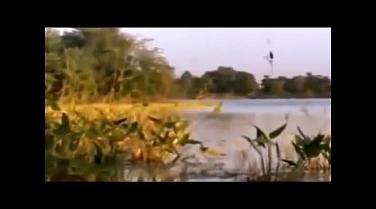 Anaconda-La Serpiente Más Grande Del Mundo