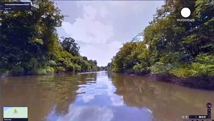 Google's new Street View allows viewers to explore Amazon jungle