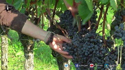 Dix domaines où la France excelle