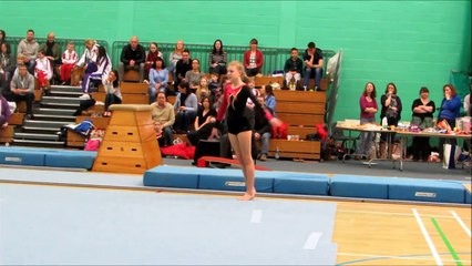 gymnastic competition