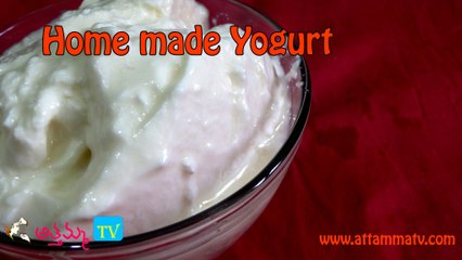 Home made Curd Preparation in Telugu