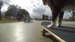 Ce chat fait du skate comme un rider pro!