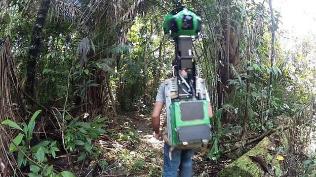 Google sent camera in Amazon : Google Street View through the deep forest