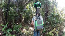 Caméras de Google dans la foret Amazonienne : Google Street View en pleine forêt