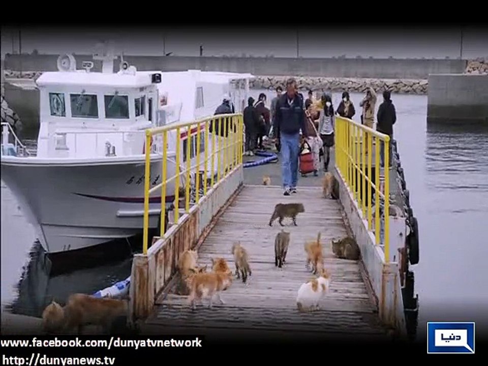 Dunya news- Aoshima, a japanese island where an...
